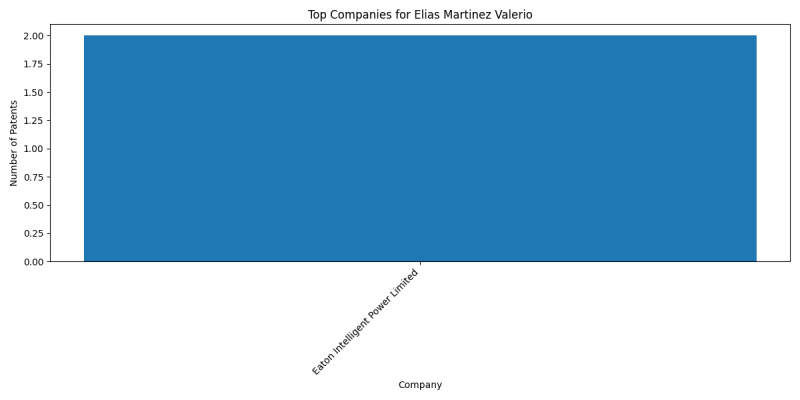 Elias Martinez Valerio Top Companies.png