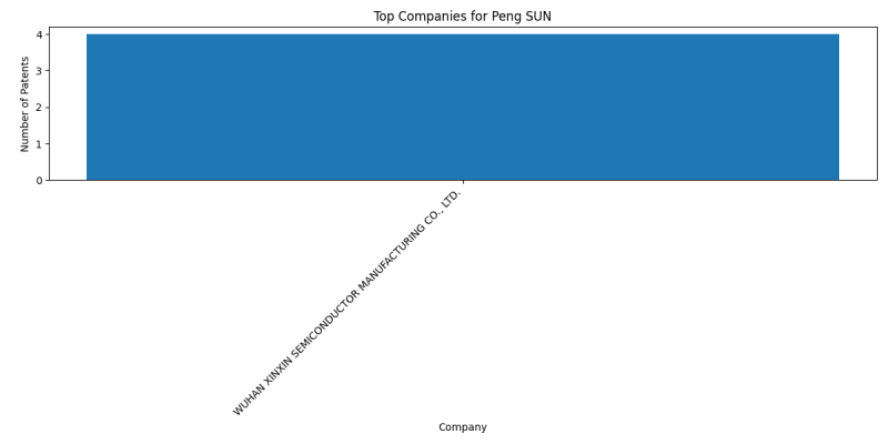 Peng SUN Top Companies.png