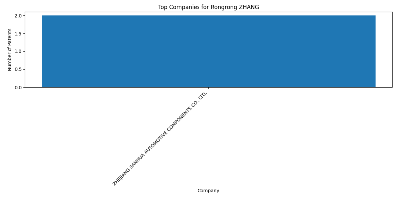 Rongrong ZHANG Top Companies.png