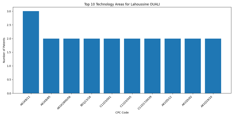 Lahoussine OUALI Top Technology Areas.png