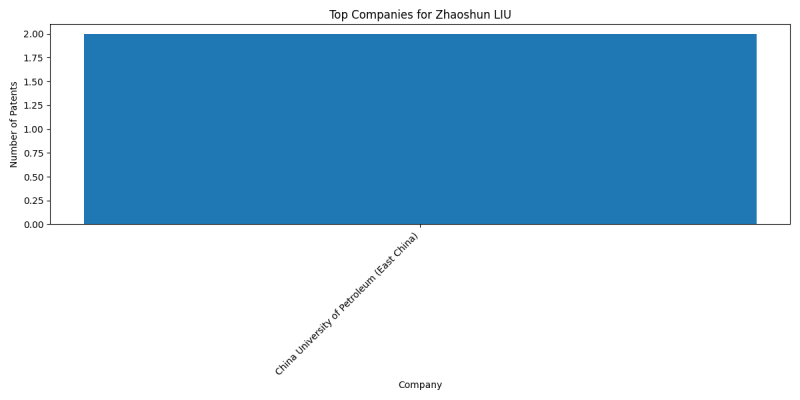 Zhaoshun LIU Top Companies.png