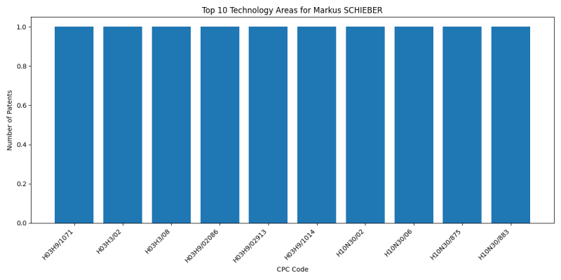 Markus SCHIEBER Top Technology Areas.png