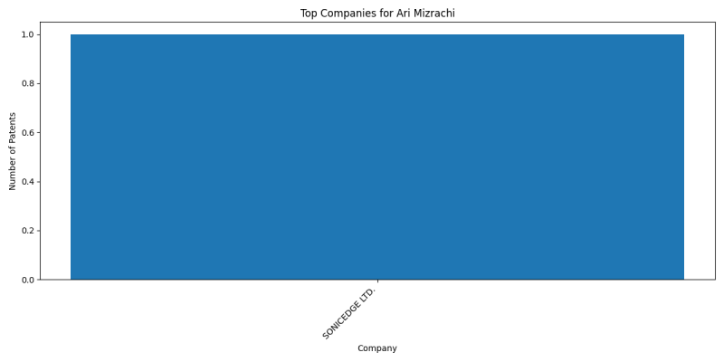 Ari Mizrachi Top Companies.png