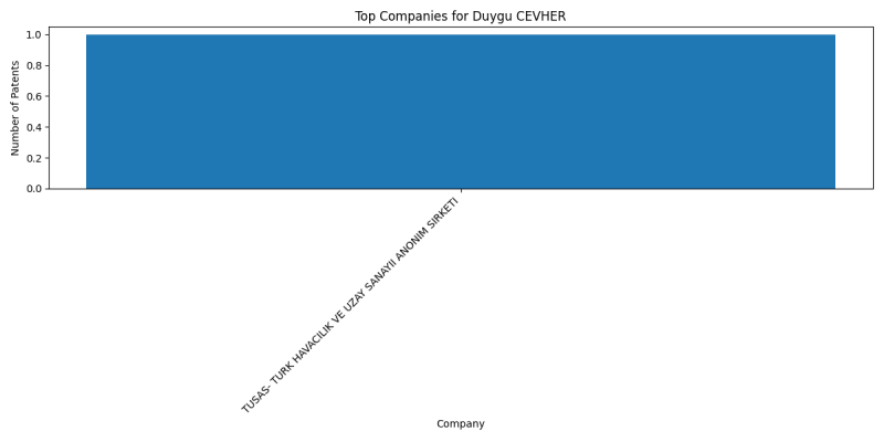 Duygu CEVHER Top Companies.png