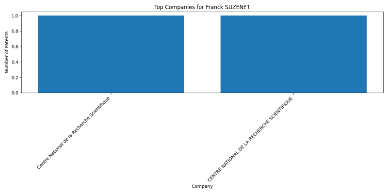 Franck SUZENET Top Companies.png