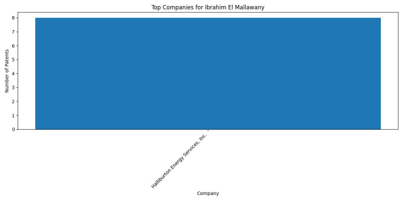 Ibrahim El Mallawany Top Companies.png