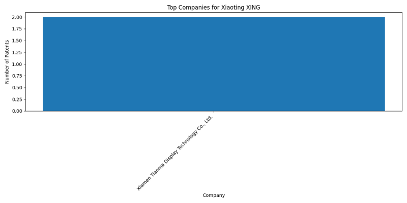 Xiaoting XING Top Companies.png