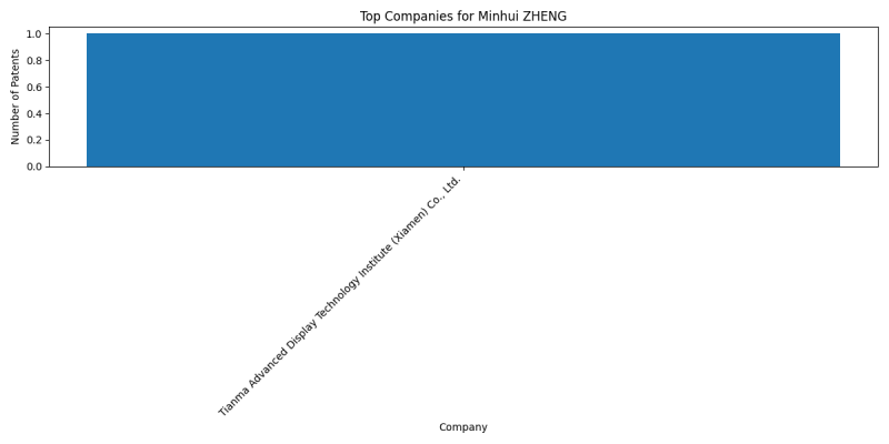 Minhui ZHENG Top Companies.png