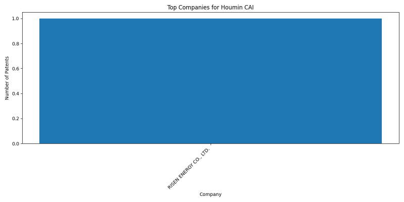 Houmin CAI Top Companies.png