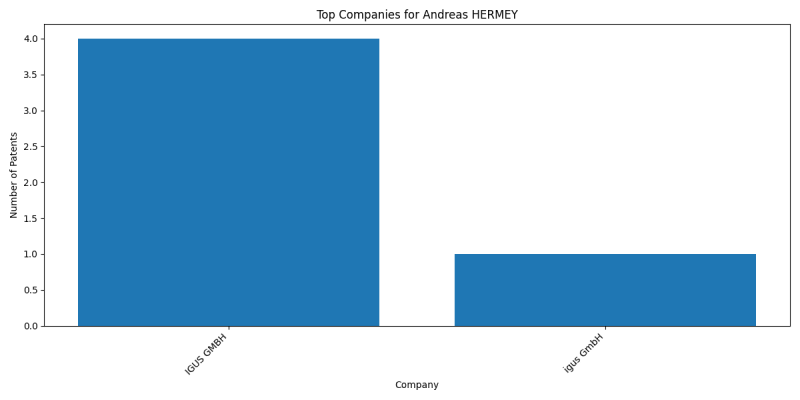 Andreas HERMEY Top Companies.png