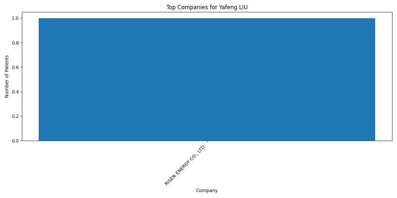 Yafeng LIU Top Companies.png