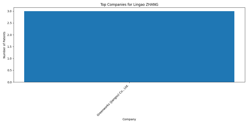 Lingao ZHANG Top Companies.png