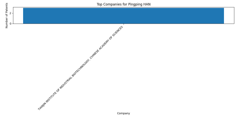 Pingping HAN Top Companies.png