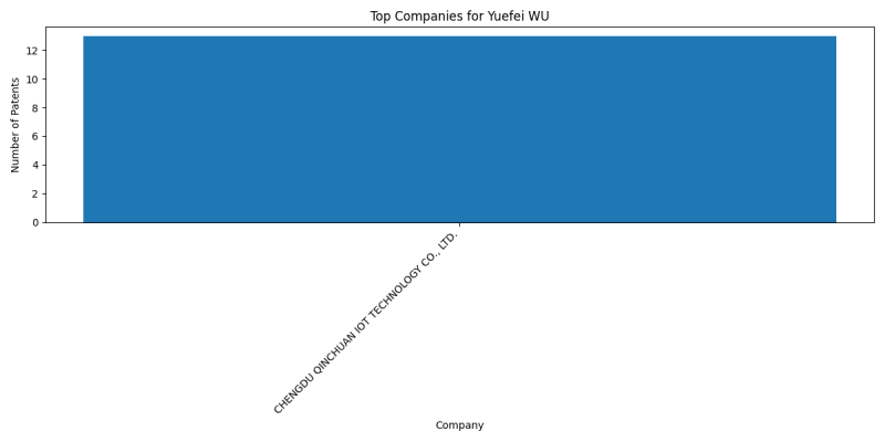 Yuefei WU Top Companies.png