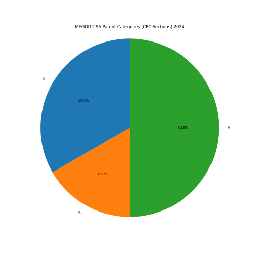 MEGGITT SA Patent Categories 2024 - Up to June 2024