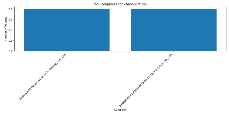 Zhaohui MENG Top Companies.png