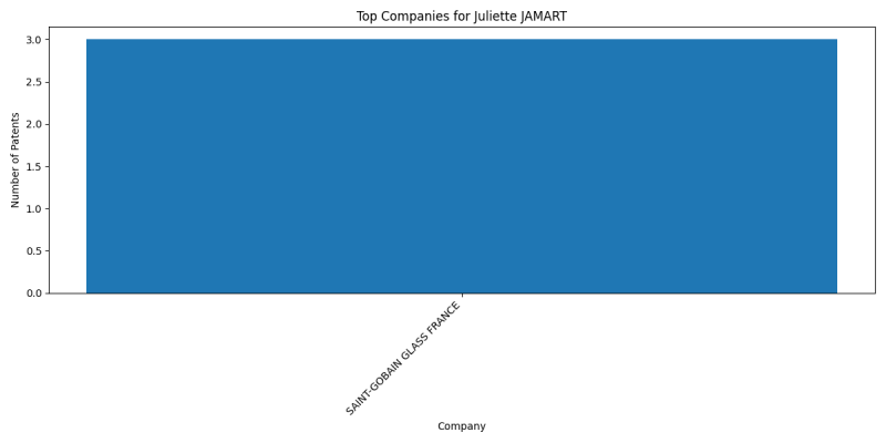 Juliette JAMART Top Companies.png