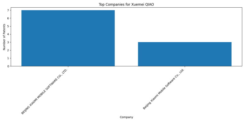 Xuemei QIAO Top Companies.png