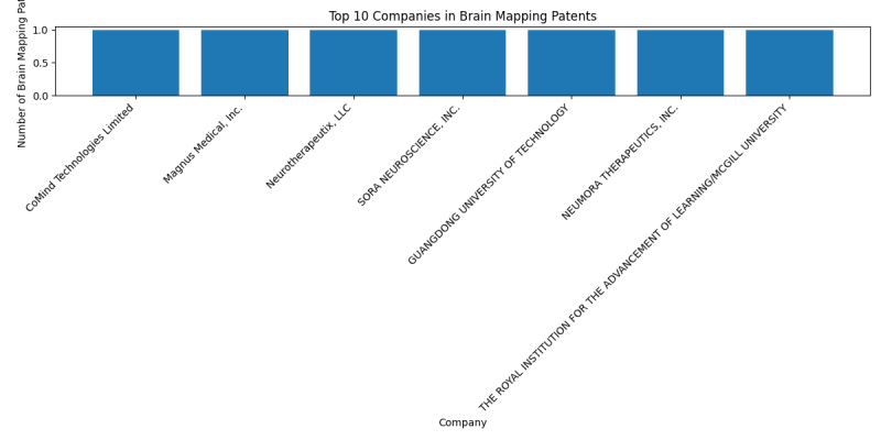 Top Companies in Brain Mapping.png