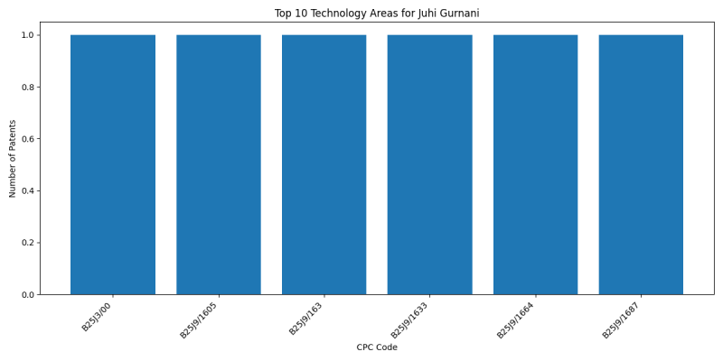 Juhi Gurnani Top Technology Areas.png