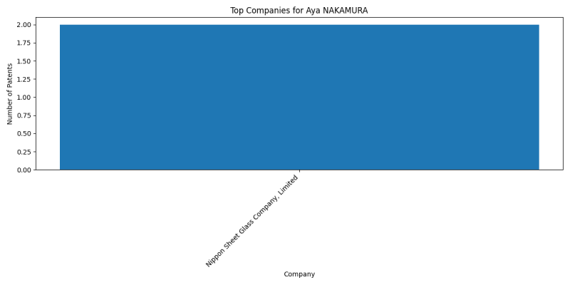 Aya NAKAMURA Top Companies.png