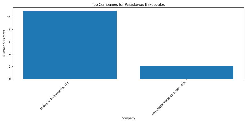 Paraskevas Bakopoulos Top Companies.png