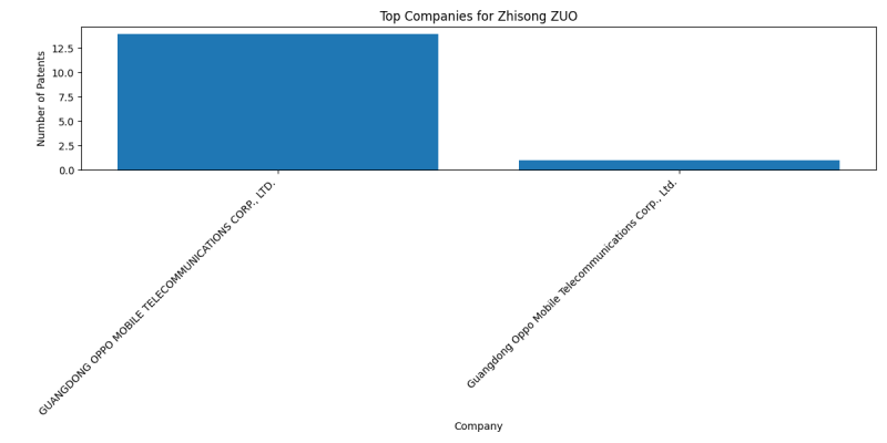 Zhisong ZUO Top Companies.png