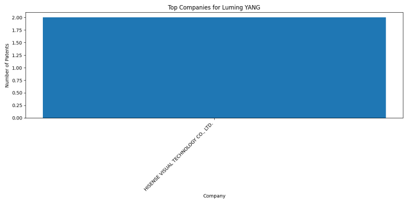 Luming YANG Top Companies.png