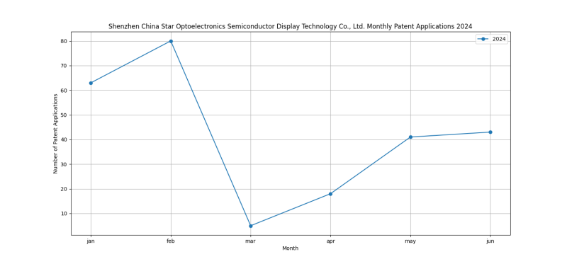 Shenzhen China Star Optoelectronics Semiconductor Display Technology Co., Ltd. Monthly Patent Applications 2024 - Up to June 2024.png