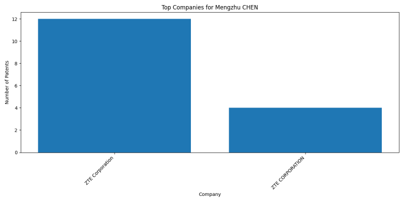 Mengzhu CHEN Top Companies.png