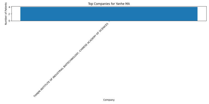 Yanhe MA Top Companies.png