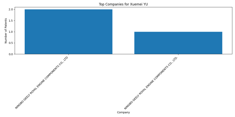 Xuemei YU Top Companies.png