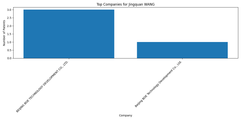 Jingquan WANG Top Companies.png