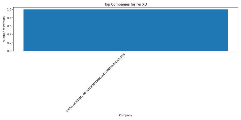 Fei XU Top Companies.png