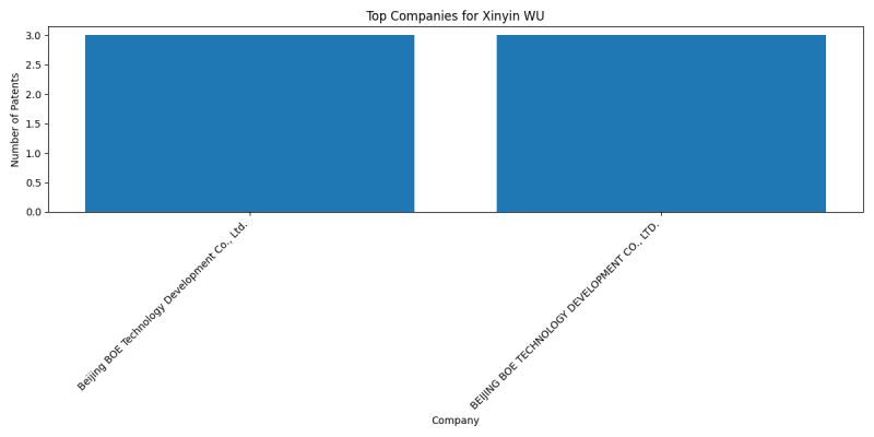 Xinyin WU Top Companies.png