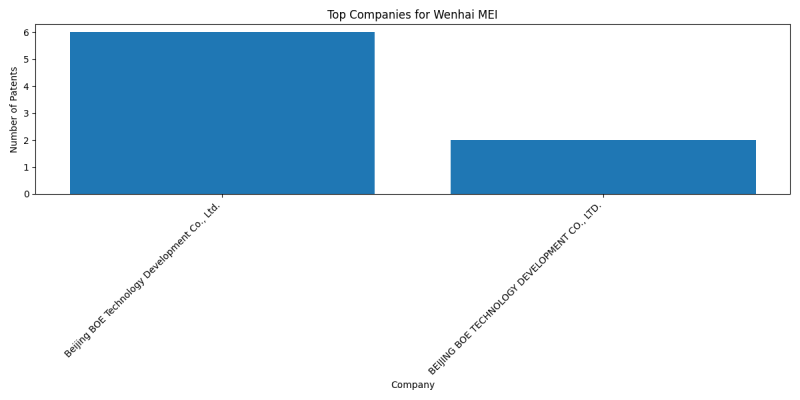 Wenhai MEI Top Companies.png