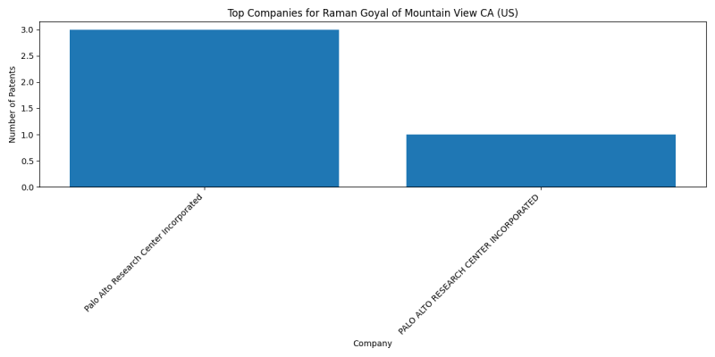 Raman Goyal of Mountain View CA (US) Top Companies.png