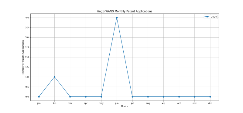 Yingzi WANG Monthly Patent Applications.png