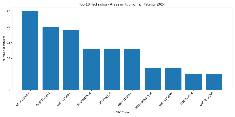 Rubrik, Inc. Top Technology Areas 2024 - Up to June 2024