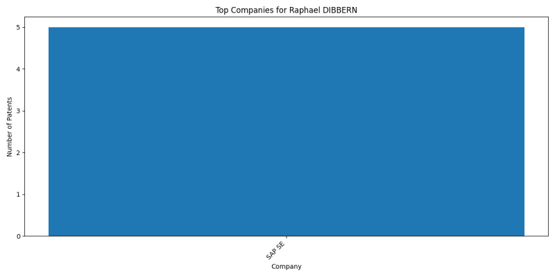 Raphael DIBBERN Top Companies.png