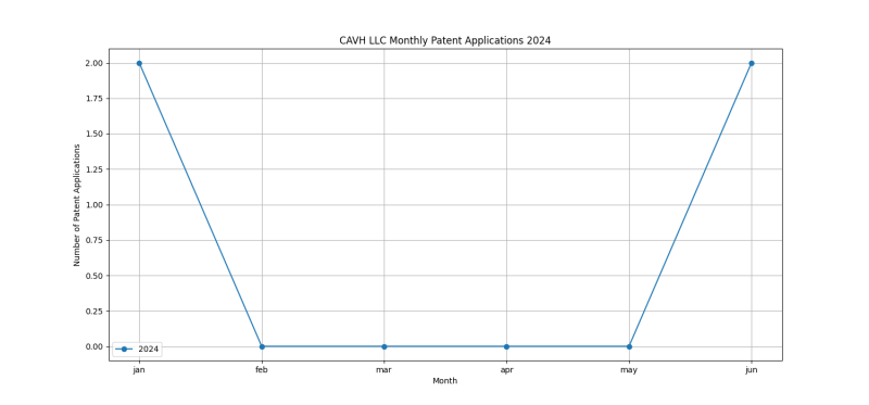 CAVH LLC Monthly Patent Applications 2024 - Up to June 2024.png