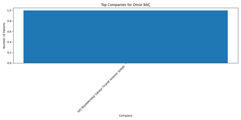 Ömür BAÇ Top Companies.png