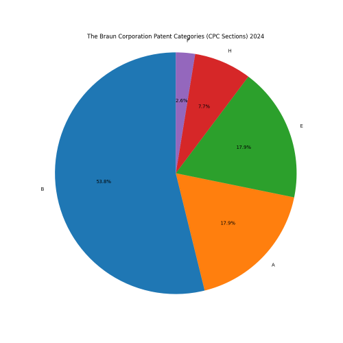 The Braun Corporation Patent Categories 2024 - Up to June 2024