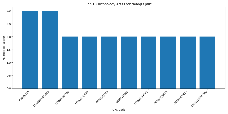 Nebojsa Jelic Top Technology Areas.png