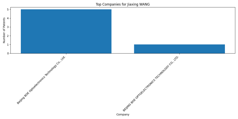 Jiaxing WANG Top Companies.png