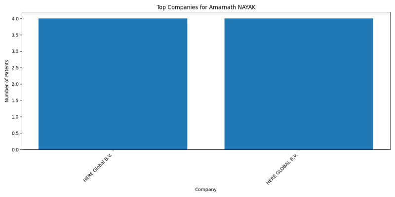 Amarnath NAYAK Top Companies.png