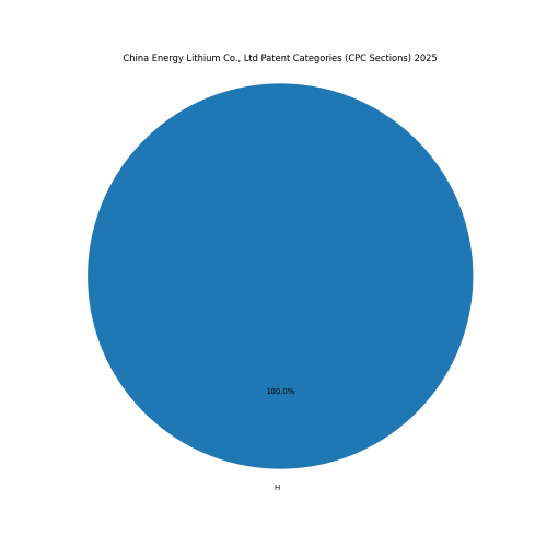 China Energy Lithium Co., Ltd Patent Categories 2025 - Up to February 2025