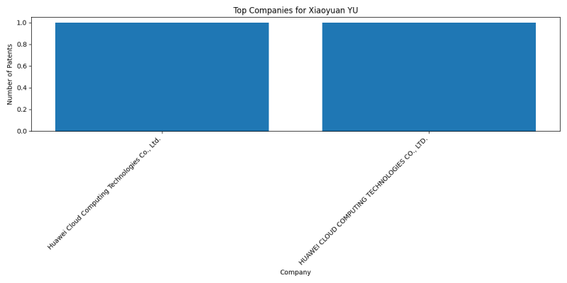 Xiaoyuan YU Top Companies.png