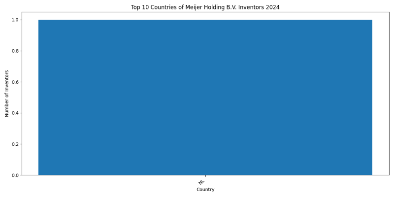 Meijer Holding B.V. Inventor Countries 2024 - Up to June 2024