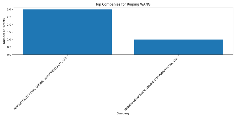 Ruiping WANG Top Companies.png